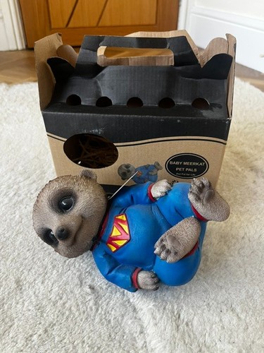 Vivid arts baby - baby, meerkat