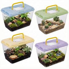 Plastic reptile terrarium - reptile,