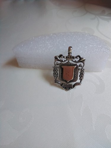 Birmingham 1898 sterling - 12.1g,