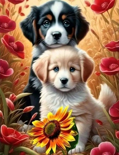R160 cute puppies - -,