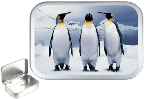 Various designs silver hinged - designs,