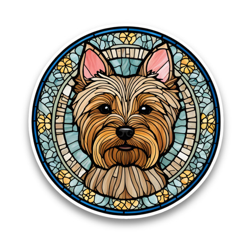 Yorkshire terrier dog - terrier,