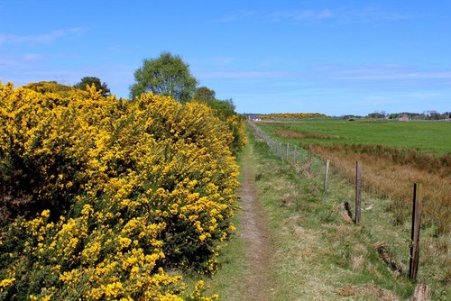 Photo footpath heading - footpath,