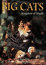 Big Cats: Kingdom of Might -