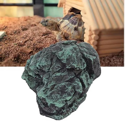 Turtle basking cave tortoise - turtle,