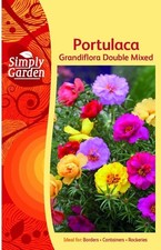 Portulaca Grandiflora Double