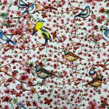 Digital Print Cotton Cherry