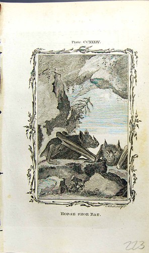Old antique print - old,