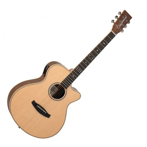 Tanglewood electro acoustic - tanglewood,