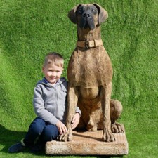 GIANT LIFE SIZE Great Dane Garden Solid Stone Cast Statue 116cm Tall 300KGS !