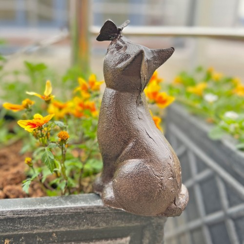 Sitting cat garden - sitting,