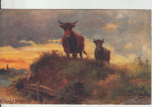 Oilette study britons - -,