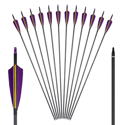 Carbon arrows 003 sp400 - 31", .003
