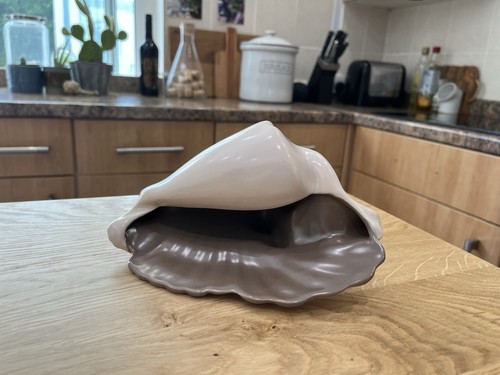 Poole pottery shell - pottery, -shell