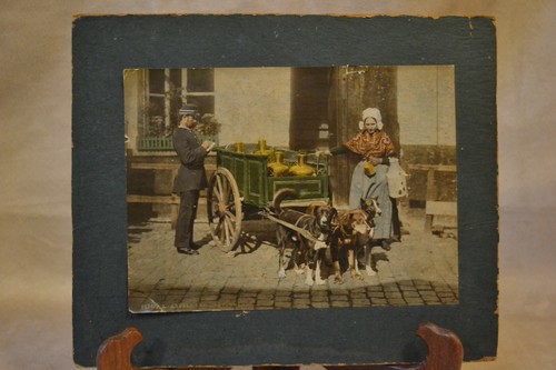 Belgium milkmaid dog - milkmaid, milk