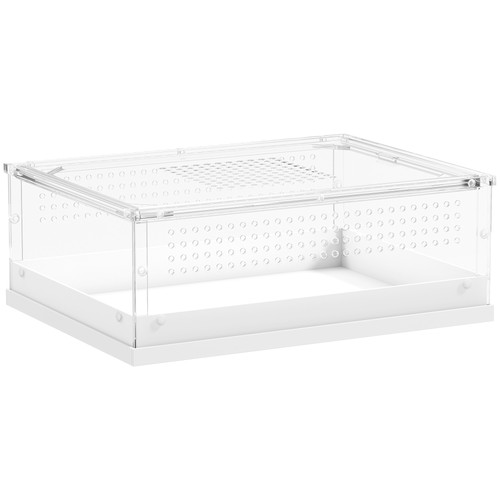 Acrylic reptile terrarium with - reptile,