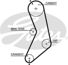 Gates 5288 Timing Belt