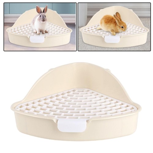 Medium rabbit for - rabbit, small