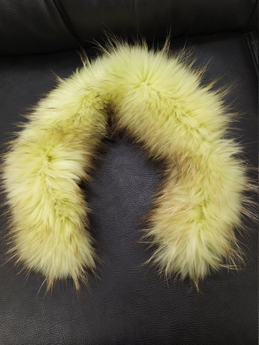 Real finn raccoon - real, fur