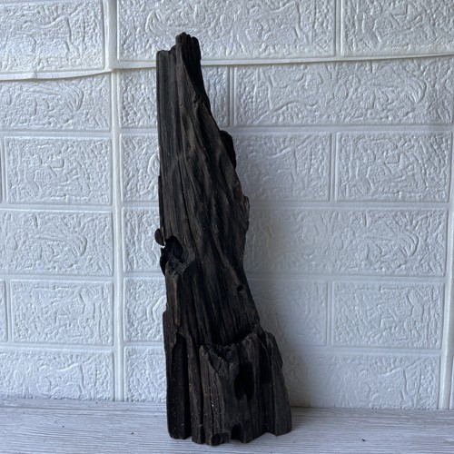 Bogwood driftwood fish tank - bogwood,