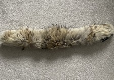 Canada Goose Coyote Fur Trim