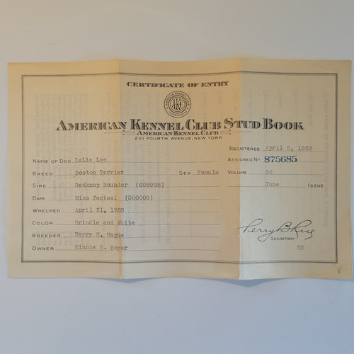 American kennel club stud - american,