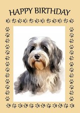 TIBETAN TERRIER DOG HEAD STUDY