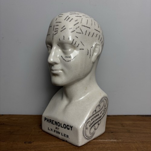Ceramic phrenology head bust - ceramic,