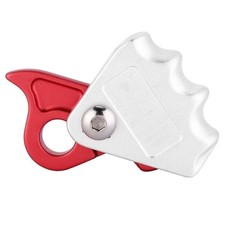 Tree Arborist Rock Climbing