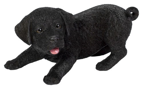 Vivid arts black labrador dog - arts,