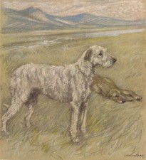 1947 IRISH WOLFHOUND DOG Print - Antique Dog Print - Dog Gift - 9.5 x 7.15 Inch