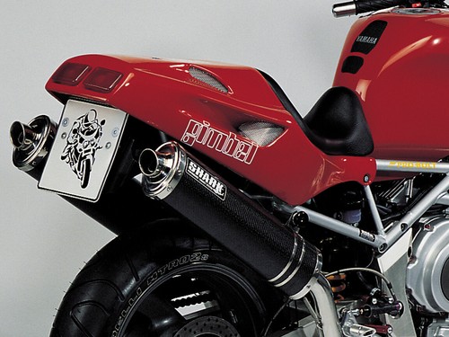 Gimbel rear fairing - gimbel, trx