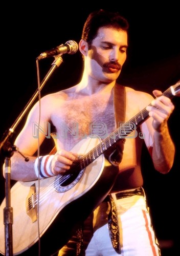 Freddie mercury queen x 8 - x,