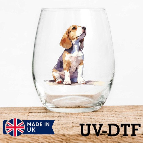 Beagle puppy dog 8pcs - puppy, uv