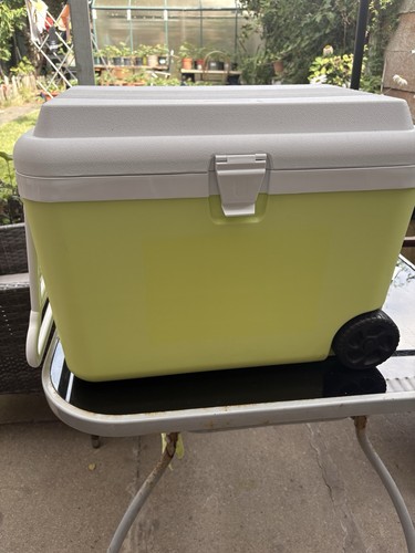 50l insulated picnic - insulated,