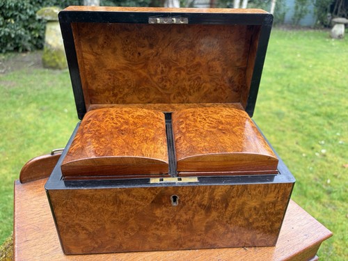 Burr walnut victorian - walnut,