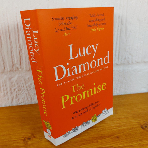 The promise lucy - the,