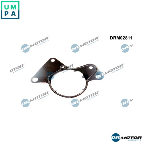 Gasket fuel pump drm02811 for - fuel,