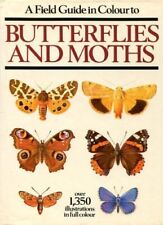 Field Guide in Colour to Butterflies and Moths-Ivo Novak,Frantisek Severa