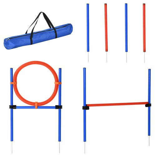 Dog agility training set - dog,