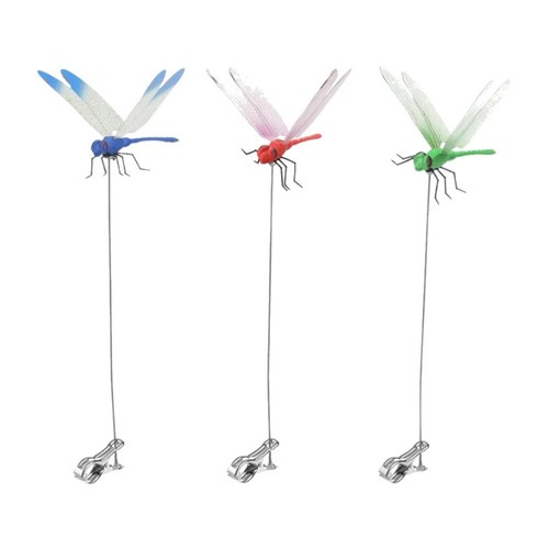 Lifelike dragonfly clip - 3d,