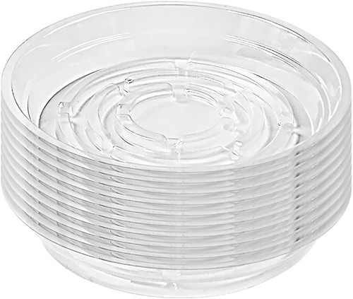 Inch clear plant - (20cm),