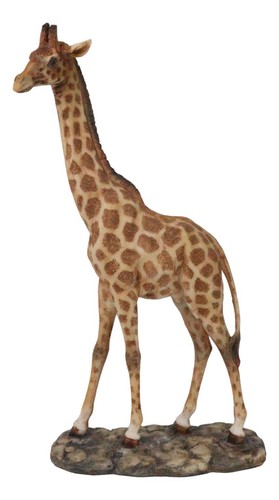Nature wildlife realistic - nature,