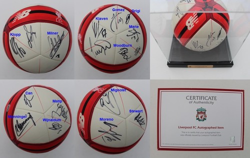 2016 liverpool squad signed - 2016-17,