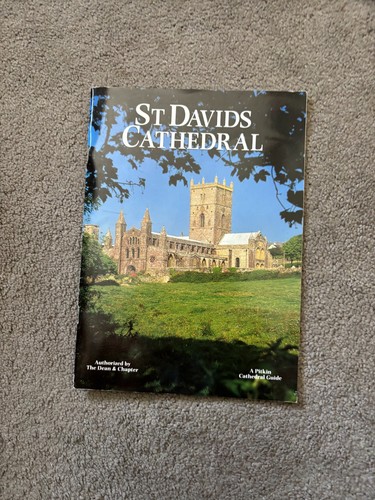 Davids cathedral guide - guide, book