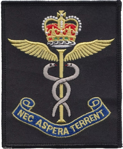 Raf medical services royal - services, air
