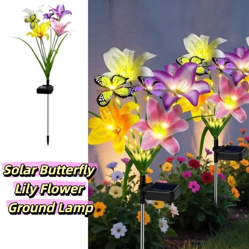 Outdoor solar garden lights - outdoor,