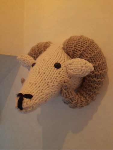 Wall hanging rams - wall, head