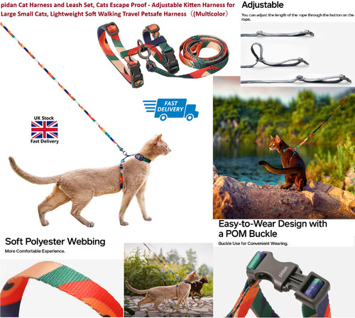 Cat harness leash - cat, escape