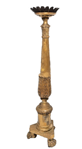 Continental naïve giltwood - continental,